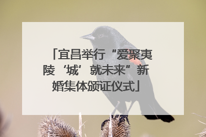 宜昌举行“爱聚夷陵‘城’就未来”新婚集体颁证仪式