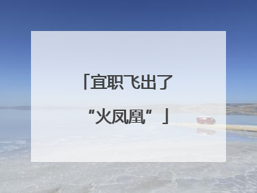 宜职飞出了“火凤凰”