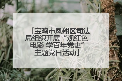 宝鸡市凤翔区司法局组织开展“观红色电影 学百年党史”主题党日活动