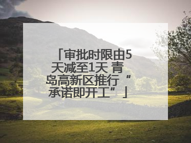 审批时限由5天减至1天 青岛高新区推行“承诺即开工”