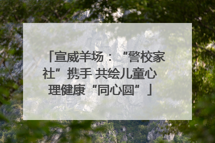 宣威羊场：“警校家社”携手 共绘儿童心理健康“同心圆”