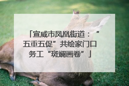 宣威市凤凰街道：“五重五促”共绘家门口务工“斑斓画卷”