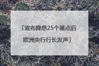 宣布降息25个基点后 欧洲央行行长发声