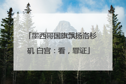 墨西哥国旗飘扬洛杉矶 白宫：看，罪证