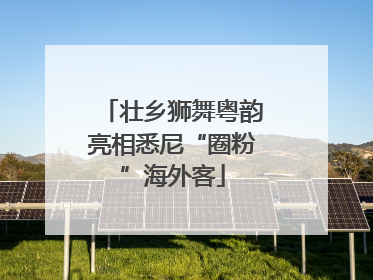 壮乡狮舞粤韵亮相悉尼“圈粉”海外客
