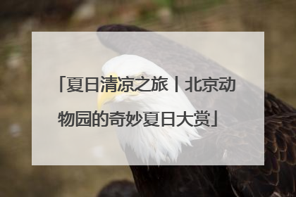 夏日清凉之旅丨北京动物园的奇妙夏日大赏