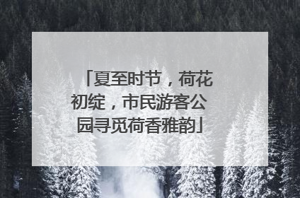 夏至时节，荷花初绽，市民游客公园寻觅荷香雅韵