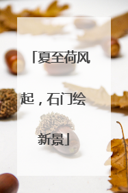 夏至荷风起，石门绘新景