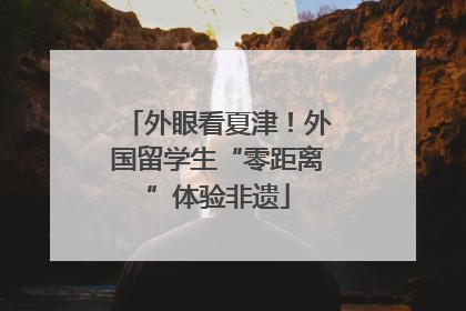 外眼看夏津！外国留学生“零距离”体验非遗