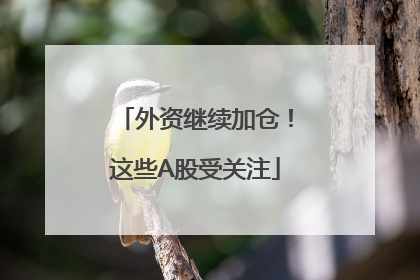 外资继续加仓！这些A股受关注