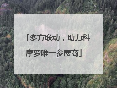 多方联动，助力科摩罗唯一参展商