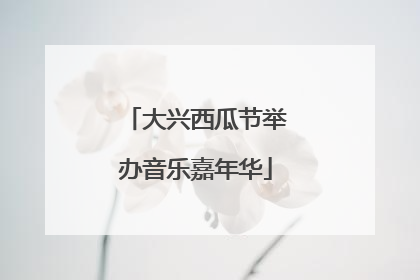 大兴西瓜节举办音乐嘉年华
