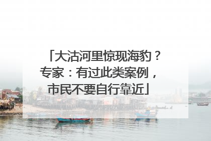 大沽河里惊现海豹？专家：有过此类案例，市民不要自行靠近
