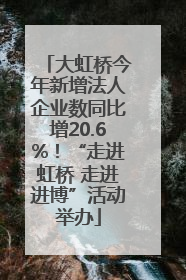 大虹桥今年新增法人企业数同比增20.6%！“走进虹桥 走进进博”活动举办