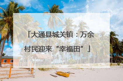 大通县城关镇：万余村民迎来“幸福田”