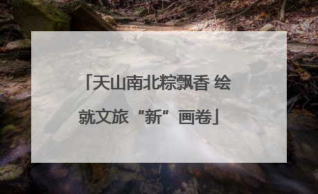 天山南北粽飘香 绘就文旅“新”画卷