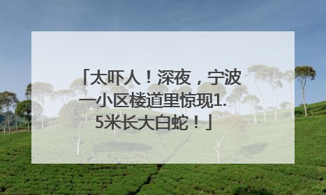 太吓人！深夜，宁波一小区楼道里惊现1.5米长大白蛇！