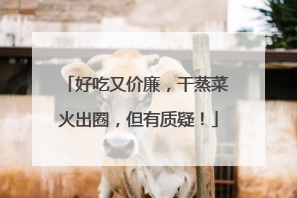 好吃又价廉，干蒸菜火出圈，但有质疑！