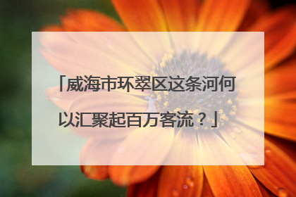 威海市环翠区这条河何以汇聚起百万客流？