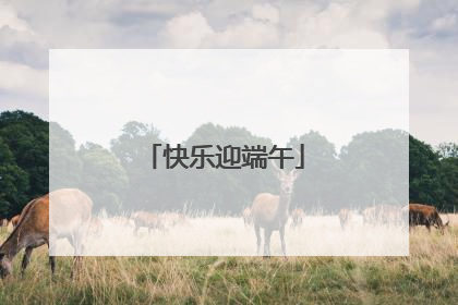 快乐迎端午