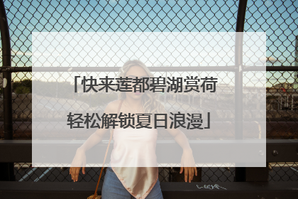 快来莲都碧湖赏荷 轻松解锁夏日浪漫