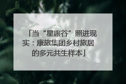 当“星露谷”照进现实：康旅集团乡村旅居的多元共生样本
