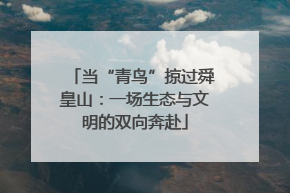 当“青鸟”掠过舜皇山：一场生态与文明的双向奔赴
