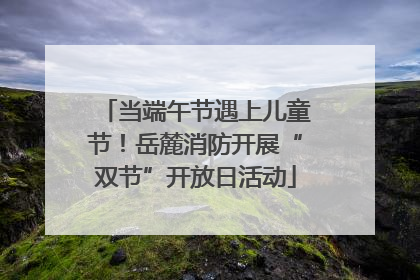 当端午节遇上儿童节！岳麓消防开展“双节”开放日活动