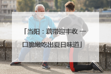 当阳：藕带迎丰收 一口脆嫩吃出夏日味道