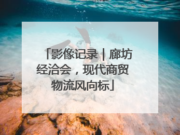 影像记录｜廊坊经洽会，现代商贸物流风向标
