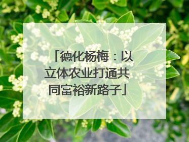 德化杨梅：以立体农业打通共同富裕新路子