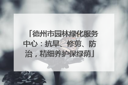 德州市园林绿化服务中心：抗旱、修剪、防治，精细养护保绿荫