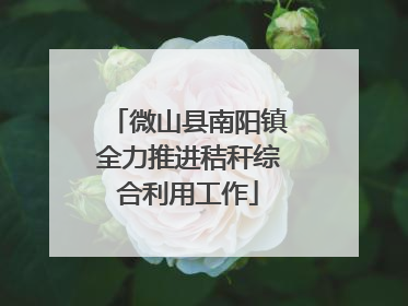 微山县南阳镇全力推进秸秆综合利用工作