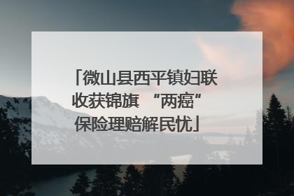 微山县西平镇妇联收获锦旗 “两癌”保险理赔解民忧