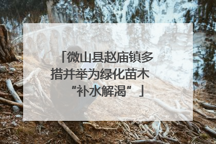 微山县赵庙镇多措并举为绿化苗木“补水解渴”