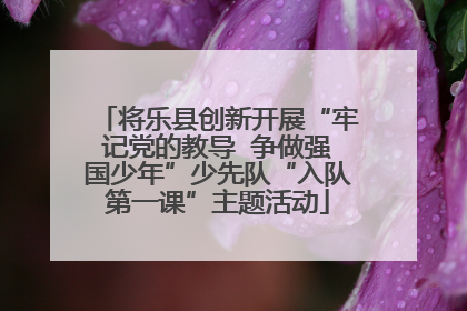 将乐县创新开展“牢记党的教导  争做强国少年”少先队“入队第一课”主题活动