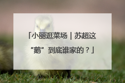 小丽逛菜场｜苏超这“鹅”到底谁家的？