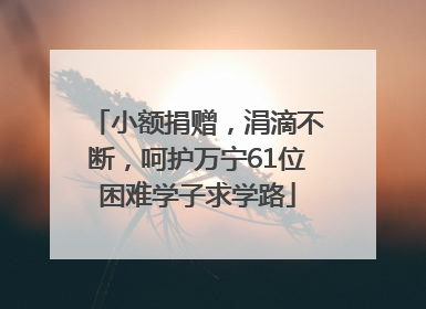 小额捐赠，涓滴不断，呵护万宁61位困难学子求学路