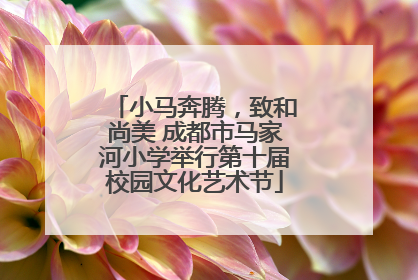 小马奔腾，致和尚美 成都市马家河小学举行第十届校园文化艺术节