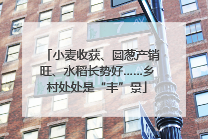 小麦收获、圆葱产销旺、水稻长势好……乡村处处是“丰”景