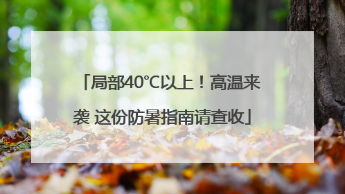 局部40℃以上！高温来袭 这份防暑指南请查收