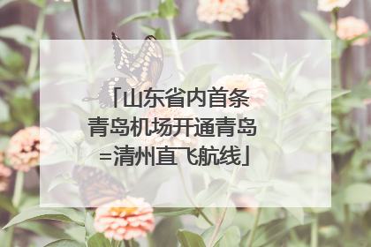 山东省内首条 青岛机场开通青岛=清州直飞航线