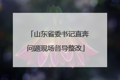 山东省委书记直奔问题现场督导整改