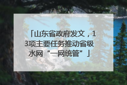 山东省政府发文，13项主要任务推动省级水网“一网统管”