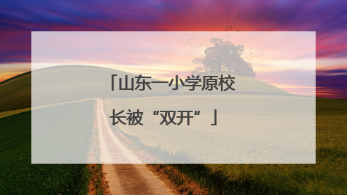 山东一小学原校长被“双开”