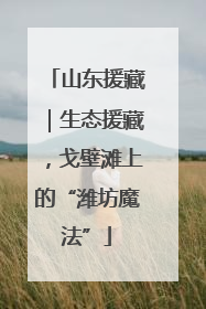 山东援藏｜生态援藏，戈壁滩上的“潍坊魔法”