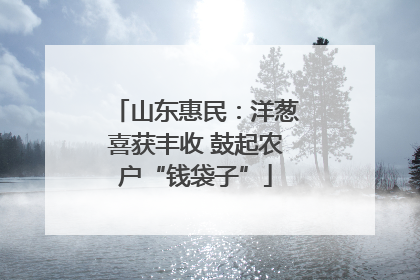 山东惠民：洋葱喜获丰收 鼓起农户“钱袋子”