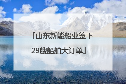山东新能船业签下29艘船舶大订单