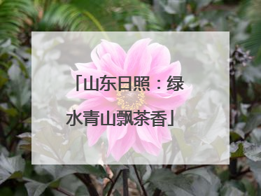 山东日照：绿水青山飘茶香