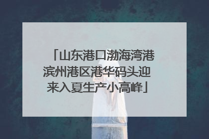 山东港口渤海湾港滨州港区港华码头迎来入夏生产小高峰